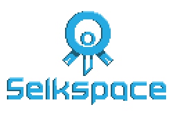 Selkspace Banner
